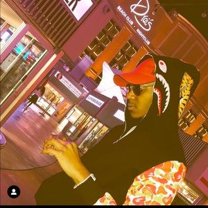 Meet your Posher, Dino